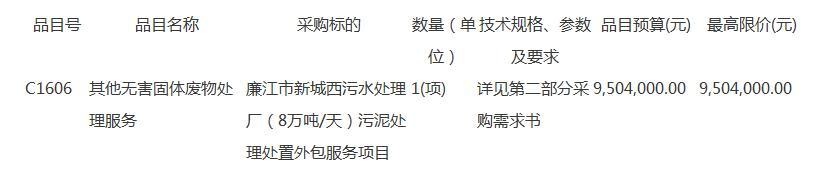 廉江市新城西污水处理厂污泥处理处置外包服务项目下的软件外包服务赋能探讨