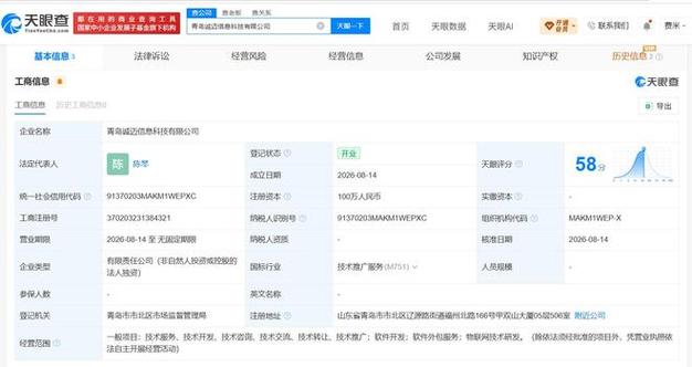 从100万注册资本到软件外包服务 一家软件开发公司的起步与突围